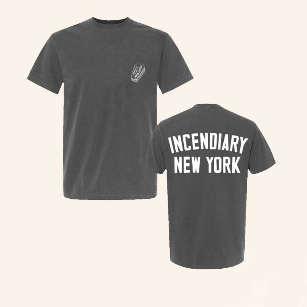 Allin Merch Incendiary Coffin Arch Pepper T-Shirt Christmas Ideas For Boyfriend-1