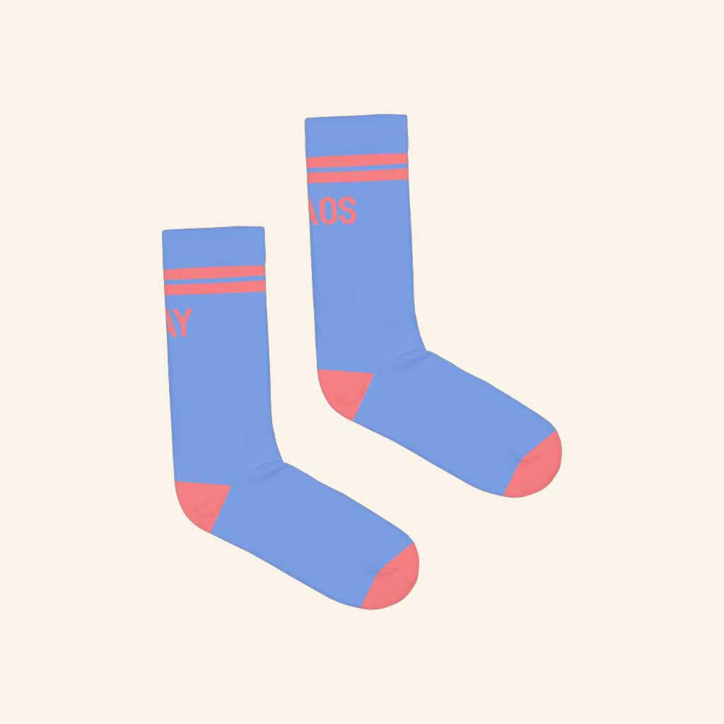 Autostraddle Merch Gay Chaos Socks Good Gifts For Friends-1