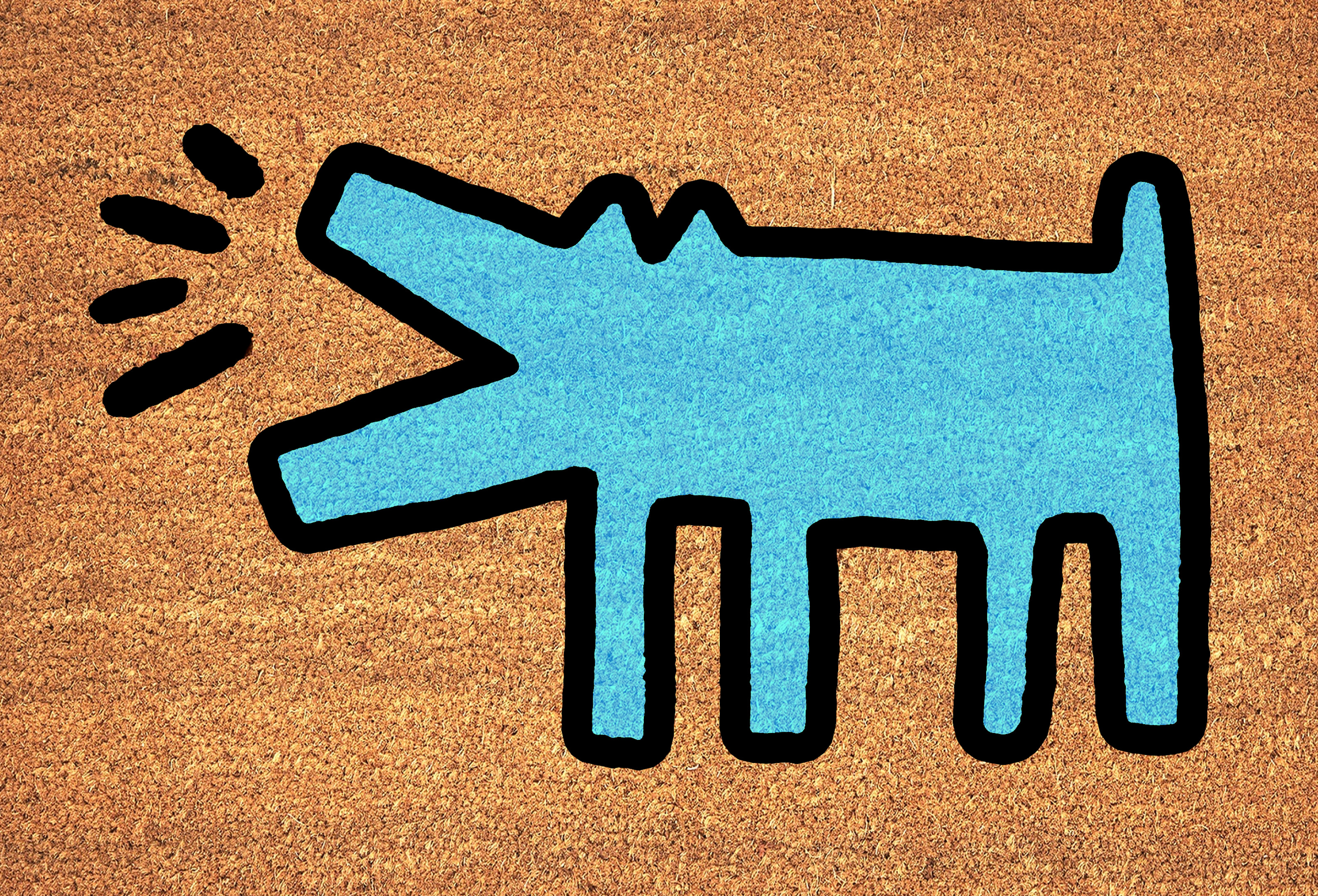 Keith Haring Doormat Dog Baking Graffiti Pop Art Culture Keith Haring Door Mat Unique-2 Keith Haring Doormat Dog Baking Graffiti Pop Art Culture Keith Haring Door Mat Unique-2