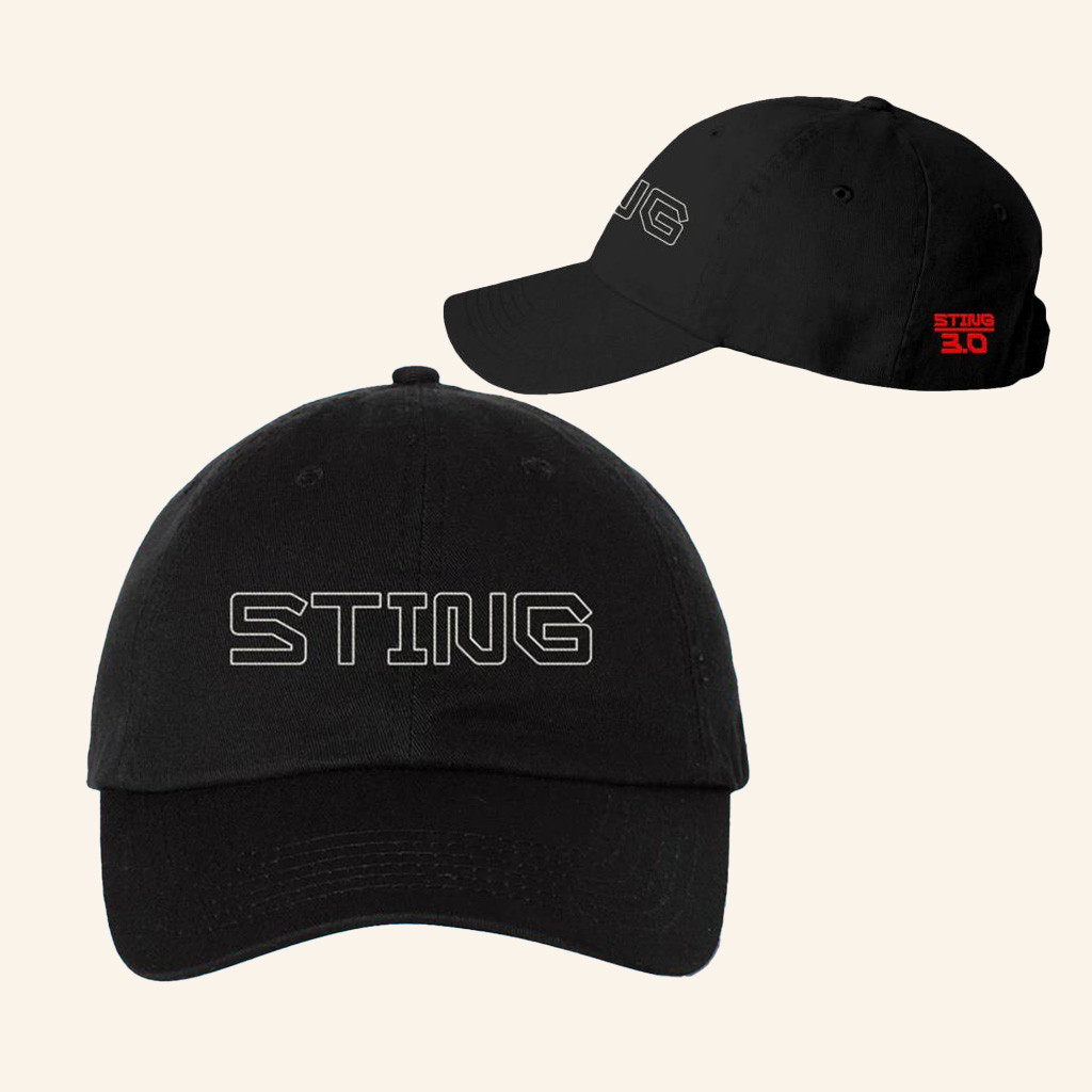 Sting Merch Sting 3.0 Logo Embroidered Hat Birthday Gifts For Music Lovers-1