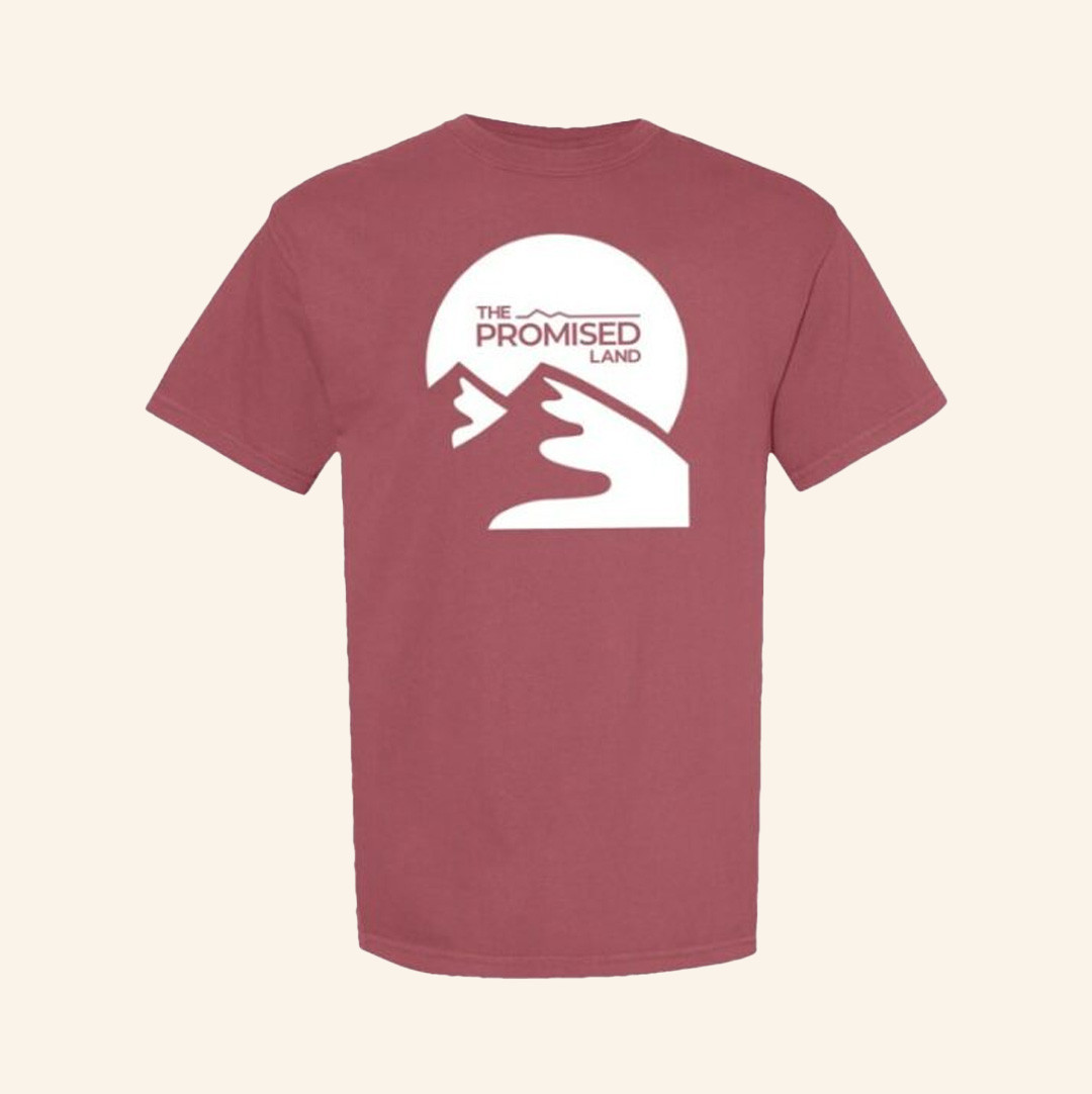 The Promised Land Merch Moses T-Shirt Gifts For Dudes-1