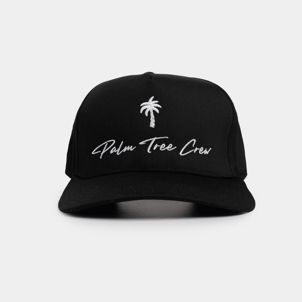 Black Palm Tree Crew Hat Summer Gift Idea for Husband PTC Outdoor Trucker Hat Gifts For BFF-1