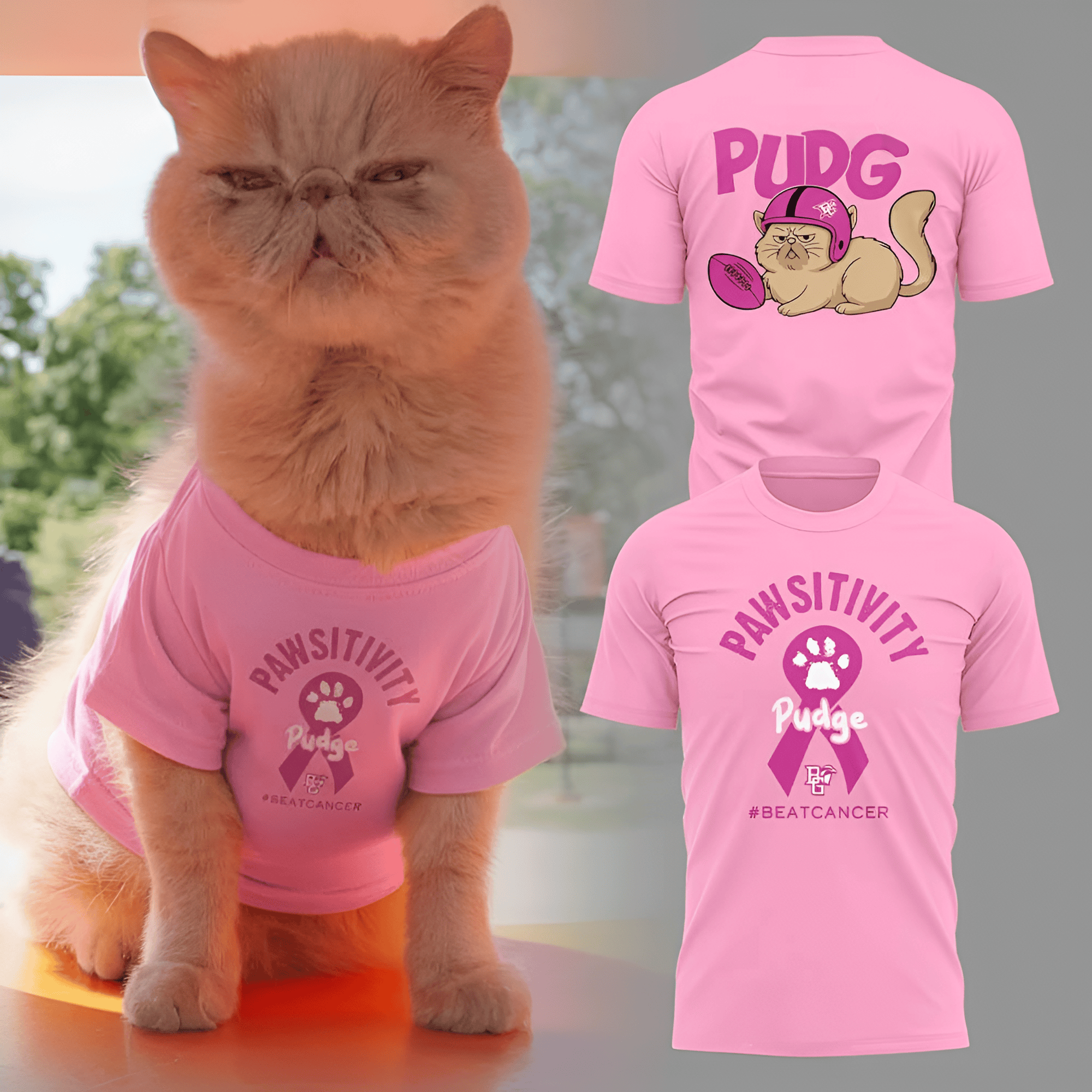 Cat Breast Cancer Awareness T-Shirt Pawsitivity Beat Cancer Tee Breast Cancer Support Gifts-1