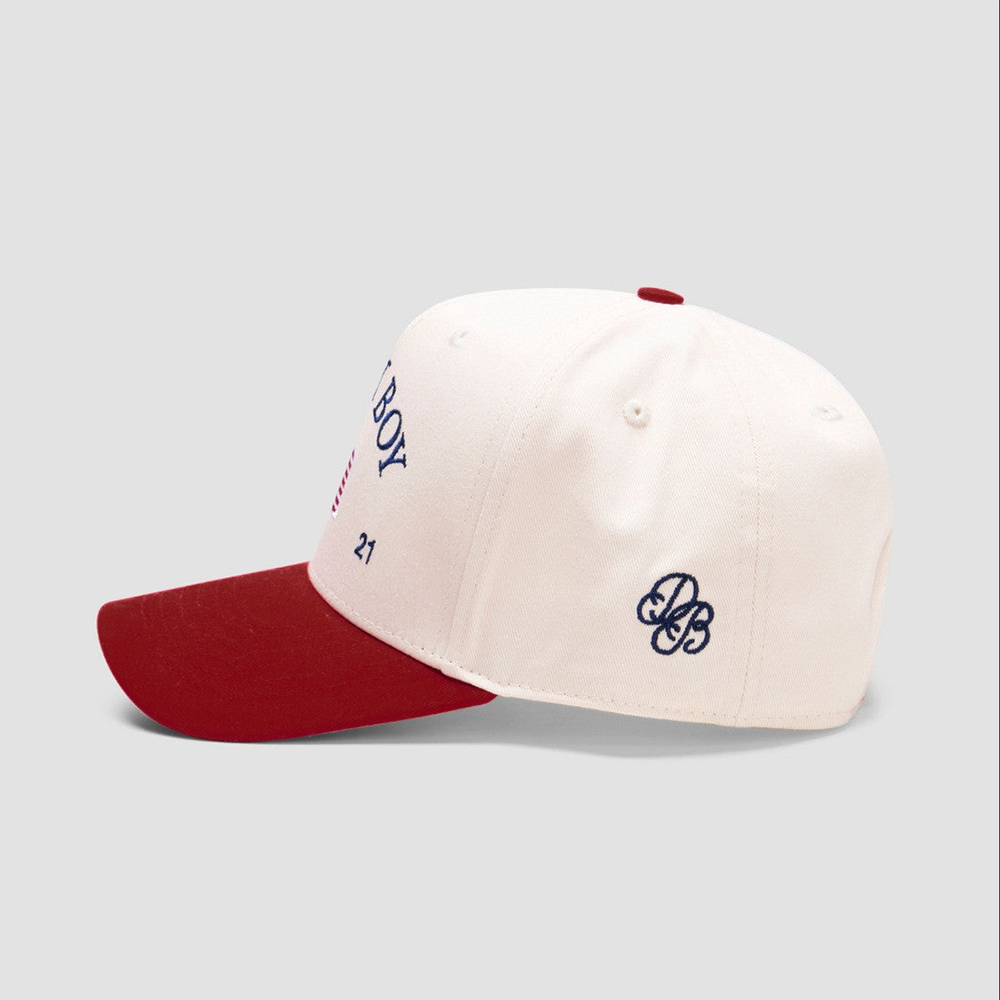 Dairy Boy Hat Embroidered Dairy Boy Merch Dad Father's Day Gifts Birthday Gifts For Friends-1