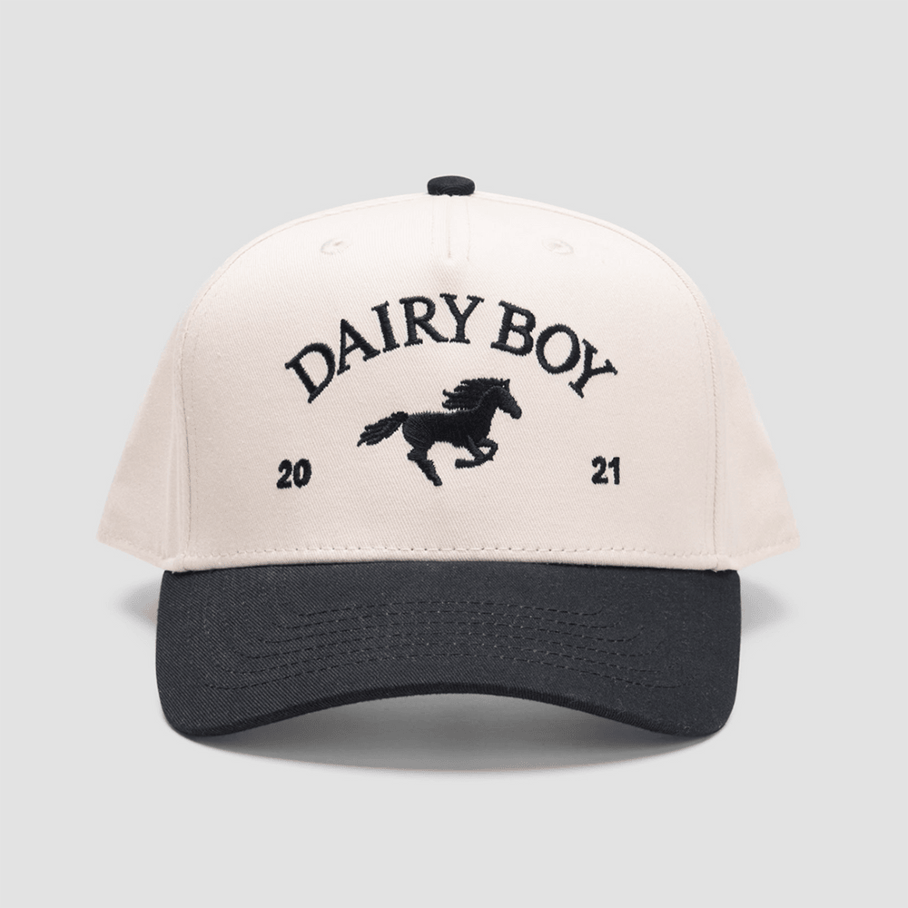 Dairy Boy Hat Embroidered Dairy Boy Merch Father's Day Gifts For Grandpa Gifts For Fans-1