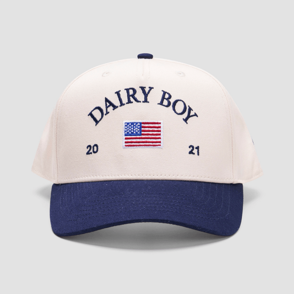 Dairy Boy Hat Embroidered Dairy Boy Merch Sentimental Father's Day Gifts Gifts For Besties-1