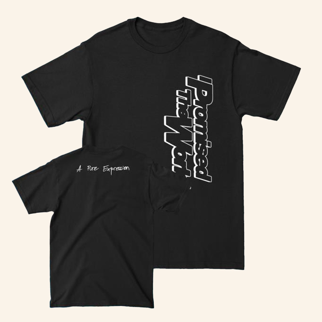 I Promised The World Merch A Pure Expression T-Shirt Gift Ideas For Friends-1