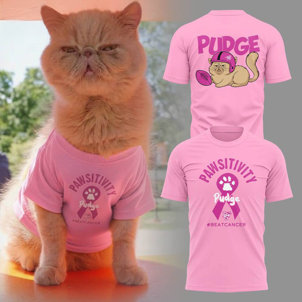 Pawsitivity Pudge The Cat Breast Cancer Awareness T-Shirt Pudge Merch Gift Ideas For Mom-1