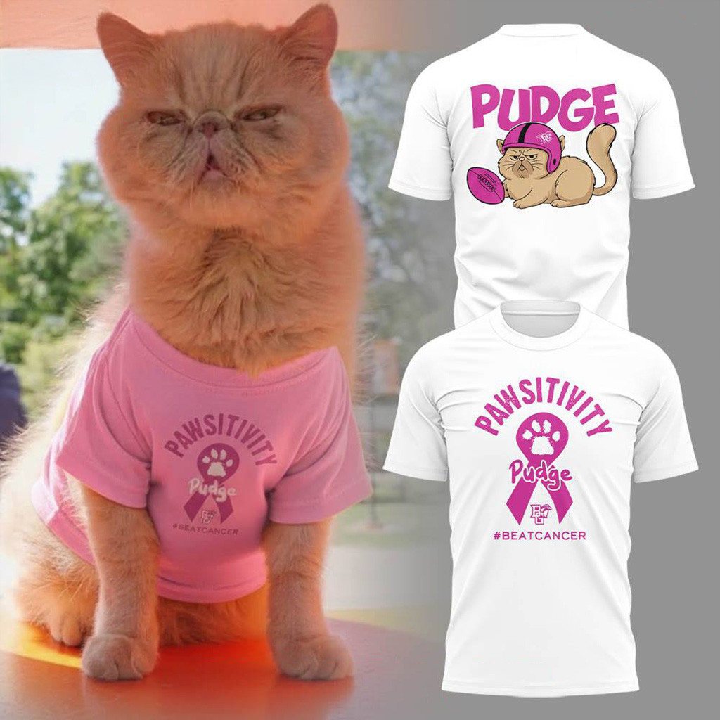 Pawsitivity Pudge The Cat Breast Cancer Awareness T-Shirt Pudge Merch Gift Ideas For Wife-1