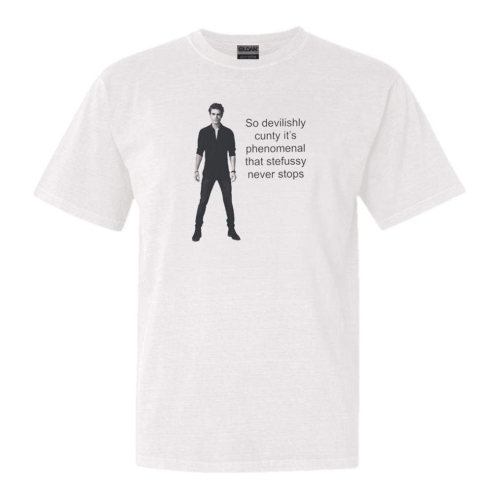 Stefussy Merch TVD Stefan Stefussy T-Shirt Gifts For Fans Father's Day Gift for Dad-1