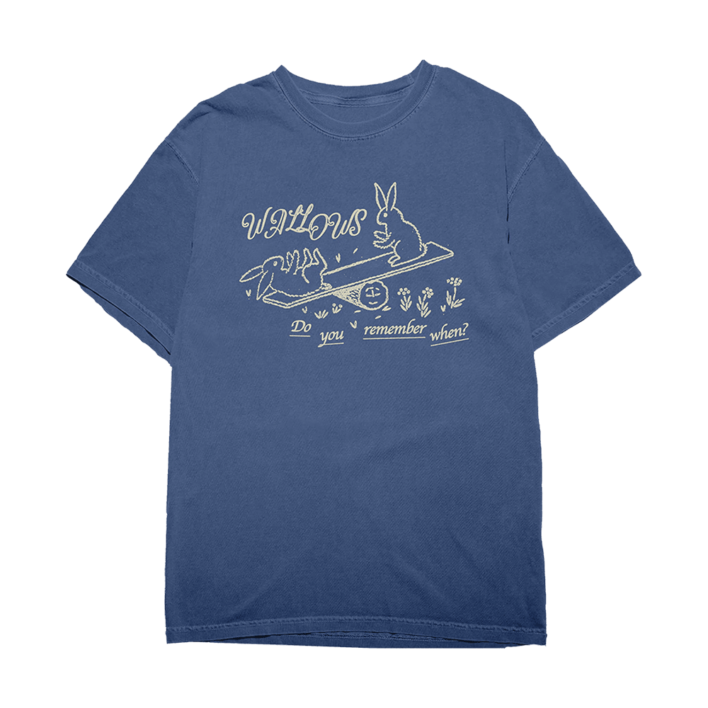 Wallows Merch Wal Remember T-Shirt Fathers Day Gift From Daughter Birthday Gifts For Fans-1