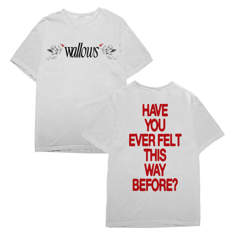 Wallows Tour Merch Angel Shirt Have You Ever Felt This Way Before The Wallows Band Tee-1