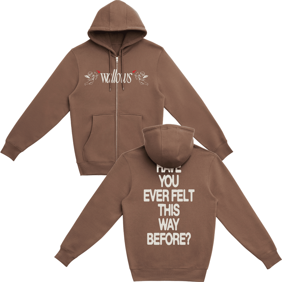 Wallows Tour Merch Angel Zip-Up Hoodie Have You Ever Felt This Way Before The Wallows Band-1