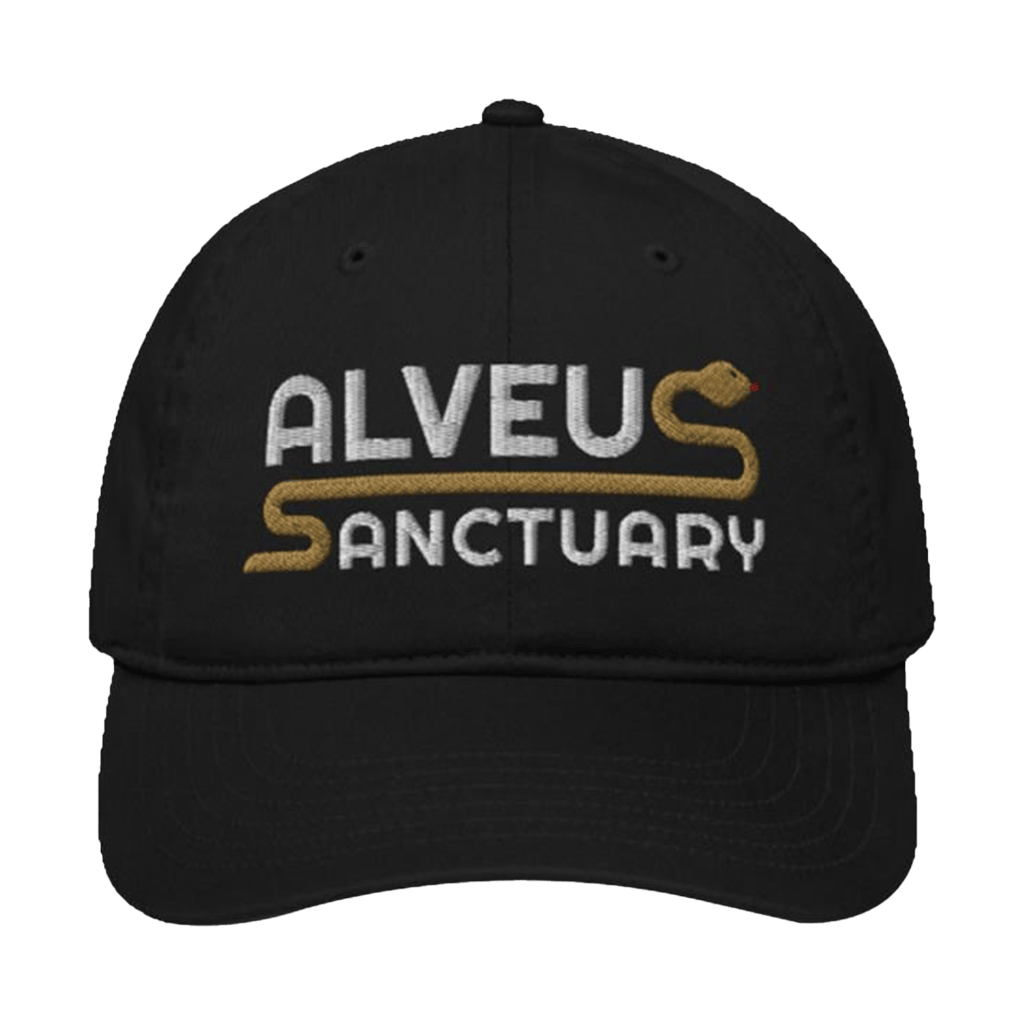 Alveus Sanctuary Merch Noodle Hat Unique Gifts For Husband-1