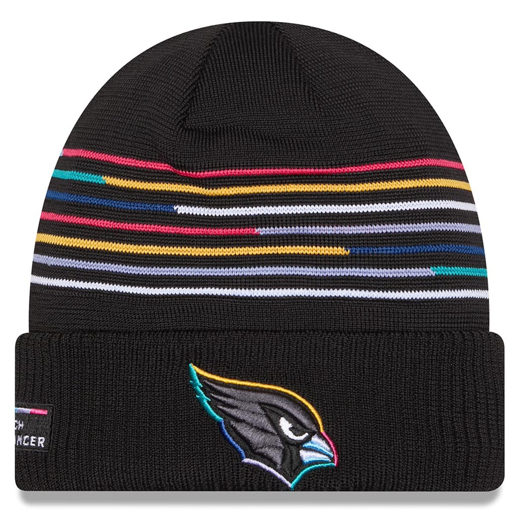 Arizona Cardinals Crucial Catch NFL Beanie 2025 Rainbow Cardinals Merch Gift For Dad-1 Arizona Cardinals Crucial Catch NFL Beanie 2025 Rainbow Cardinals Merch Gift For Dad-1