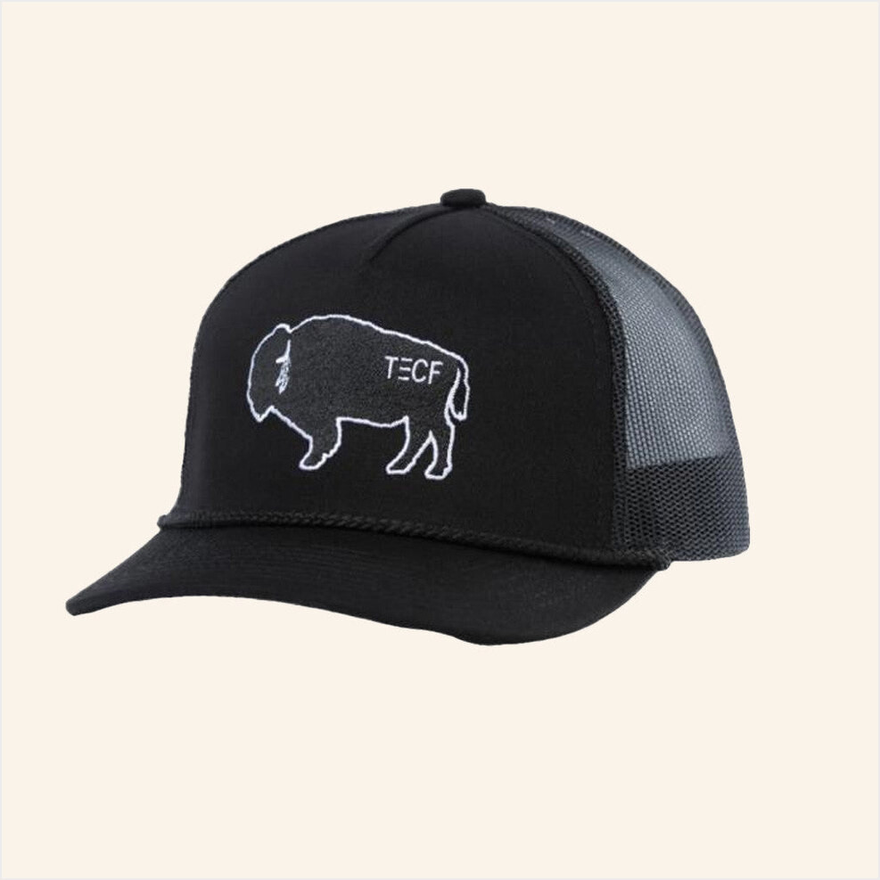 Chase Rice Merch Chase Rice Tecf Bison Trucker Hat Embroidered Gifts For Dudes Gifts For BFF-1 Chase Rice Merch Chase Rice Tecf Bison Trucker Hat Embroidered Gifts For Dudes Gifts For BFF-1