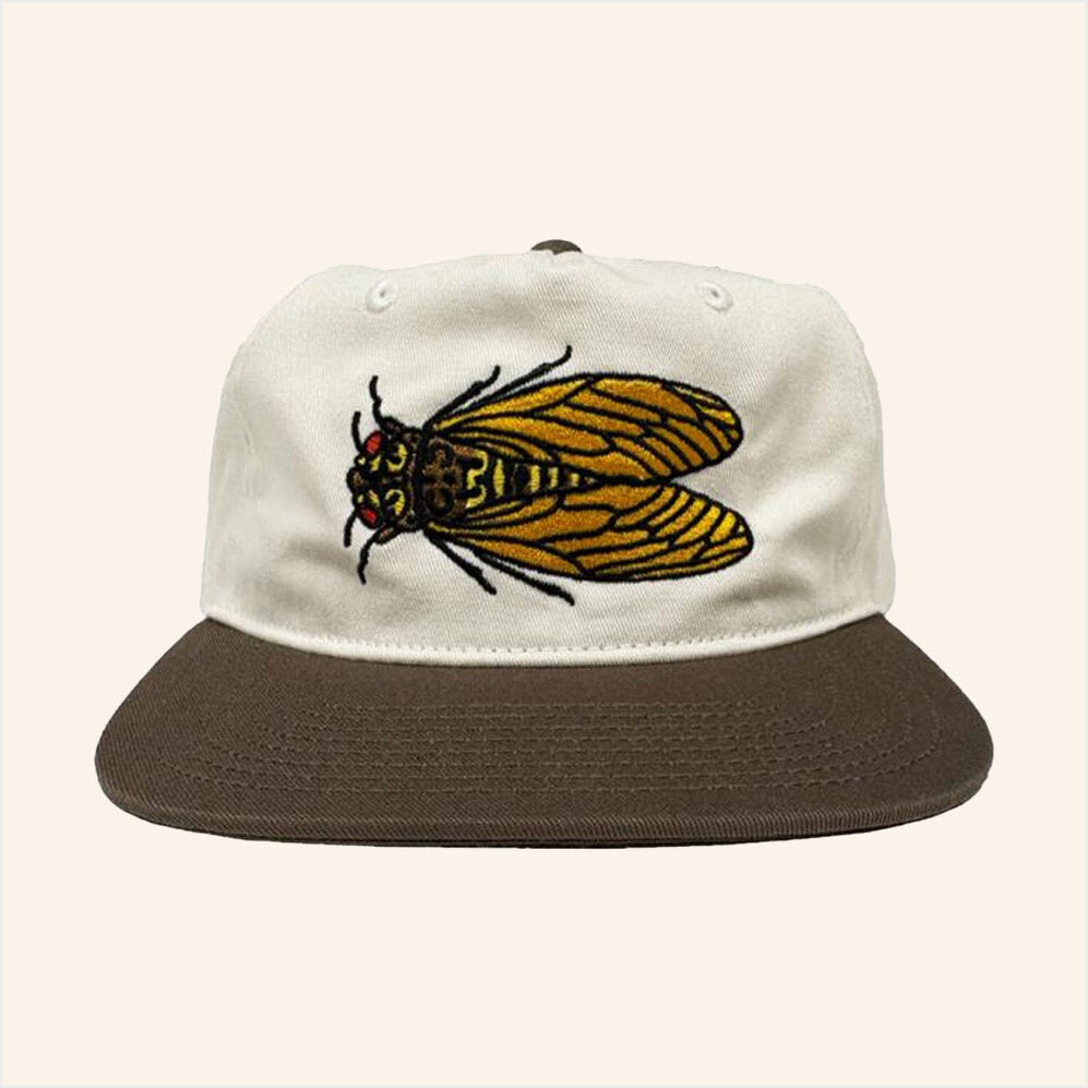 Crooked Creek Holler Merch Cicada Embroidered Hat Snapback Best Gifts For Husband Gifts For BFF-1