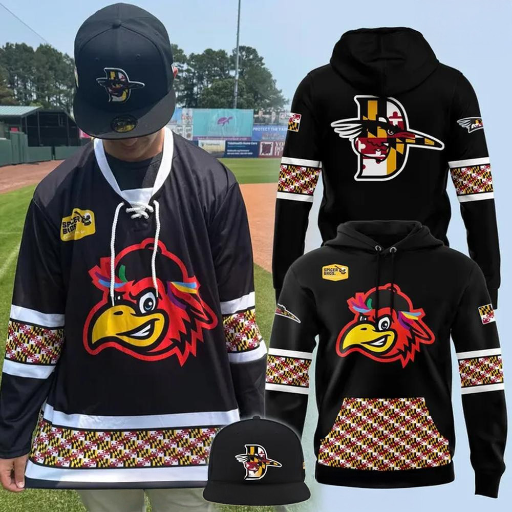 Delmarva Shorebirds Maryland Pride 2025 Special Hoodie Delmarva Shorebirds Merch For Fans-1