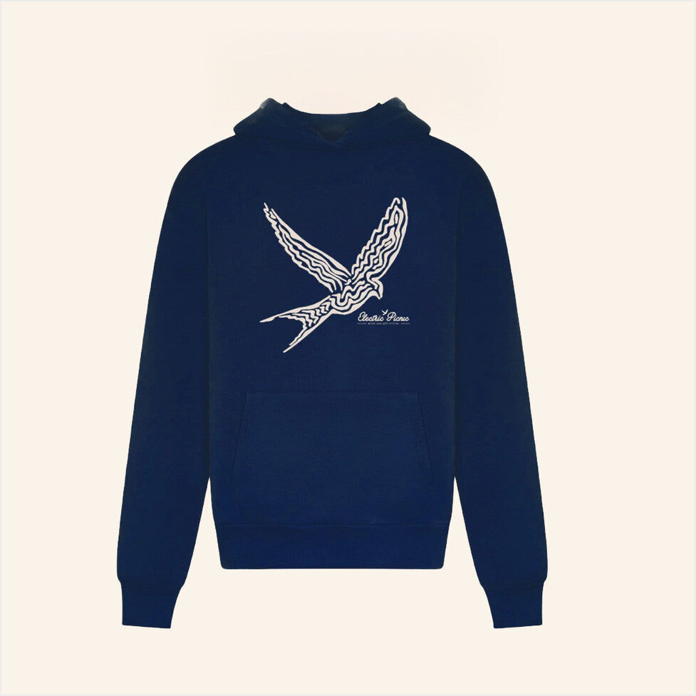 Electric Picnic Merch Blue 2025 Hoodie Present For Husband Birthday Gifts For BFF-1