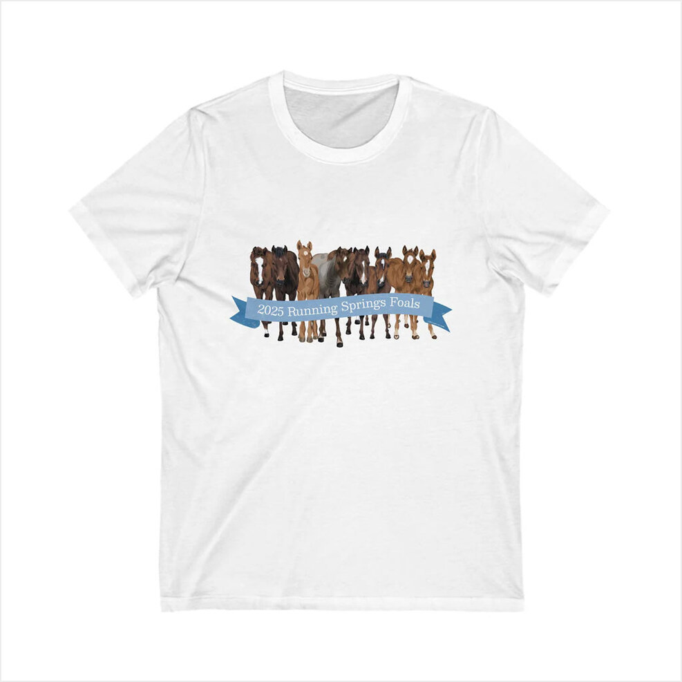 Katie Van Slyke Merch 2025 Running Springs Foals White T-Shirt Present For Him Gifts For BFF-1