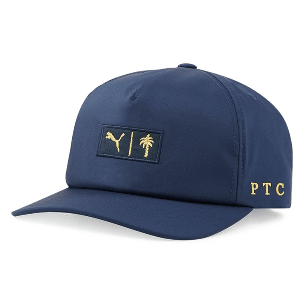 Palm Tree Crew Hat PTC Hat Summer Gifts For Father-1