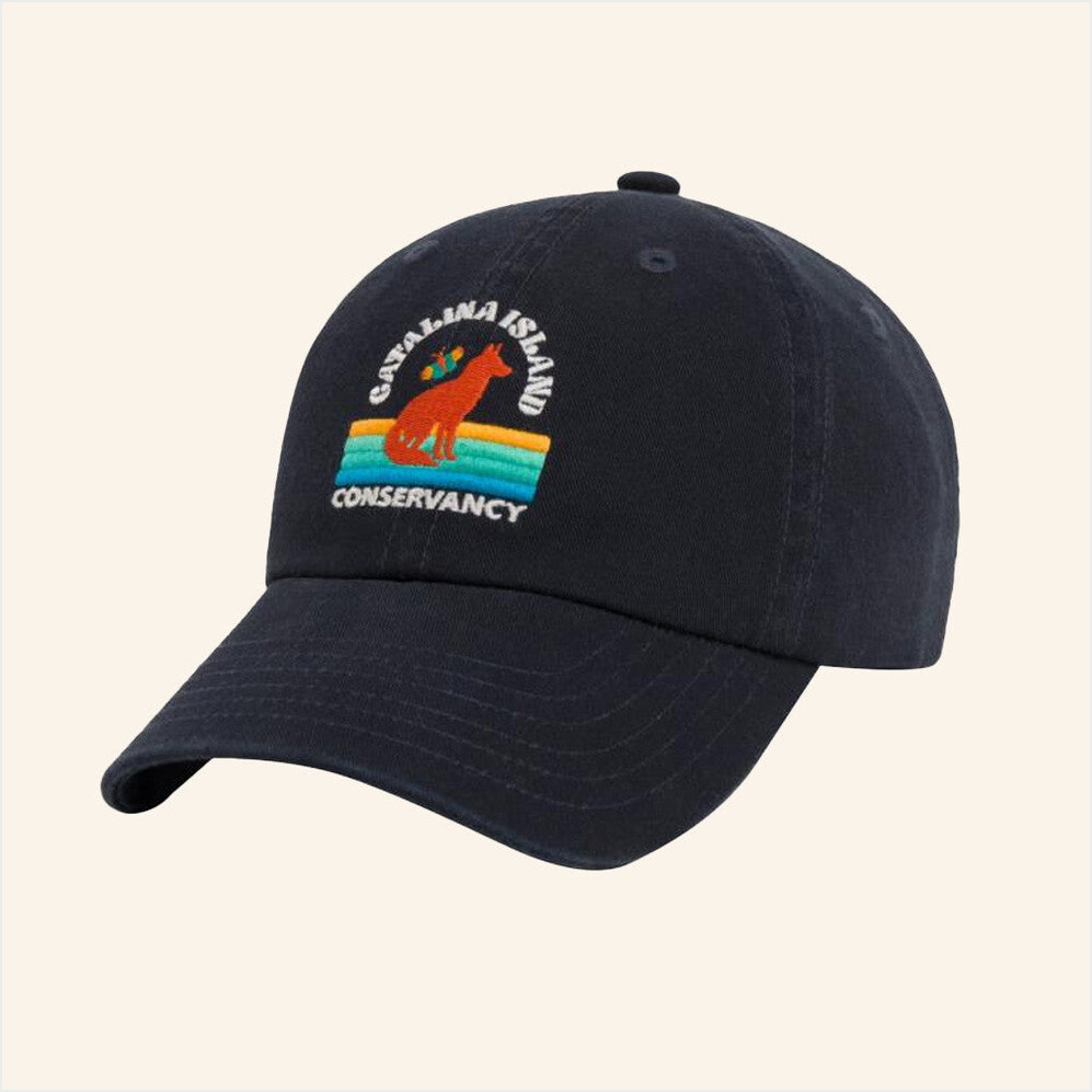 Parks Project Merch Embroidered Catalina Island Fox Hat Present For Dad Gifts For Friends-1