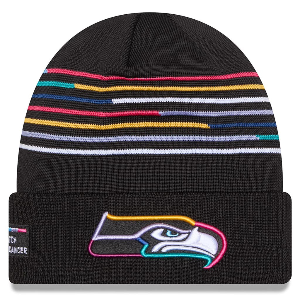 Seattle Seahawks Crucial Catch NFL Beanie 2025 Rainbow Seahawks Merch Gift Ideas For Men-1
