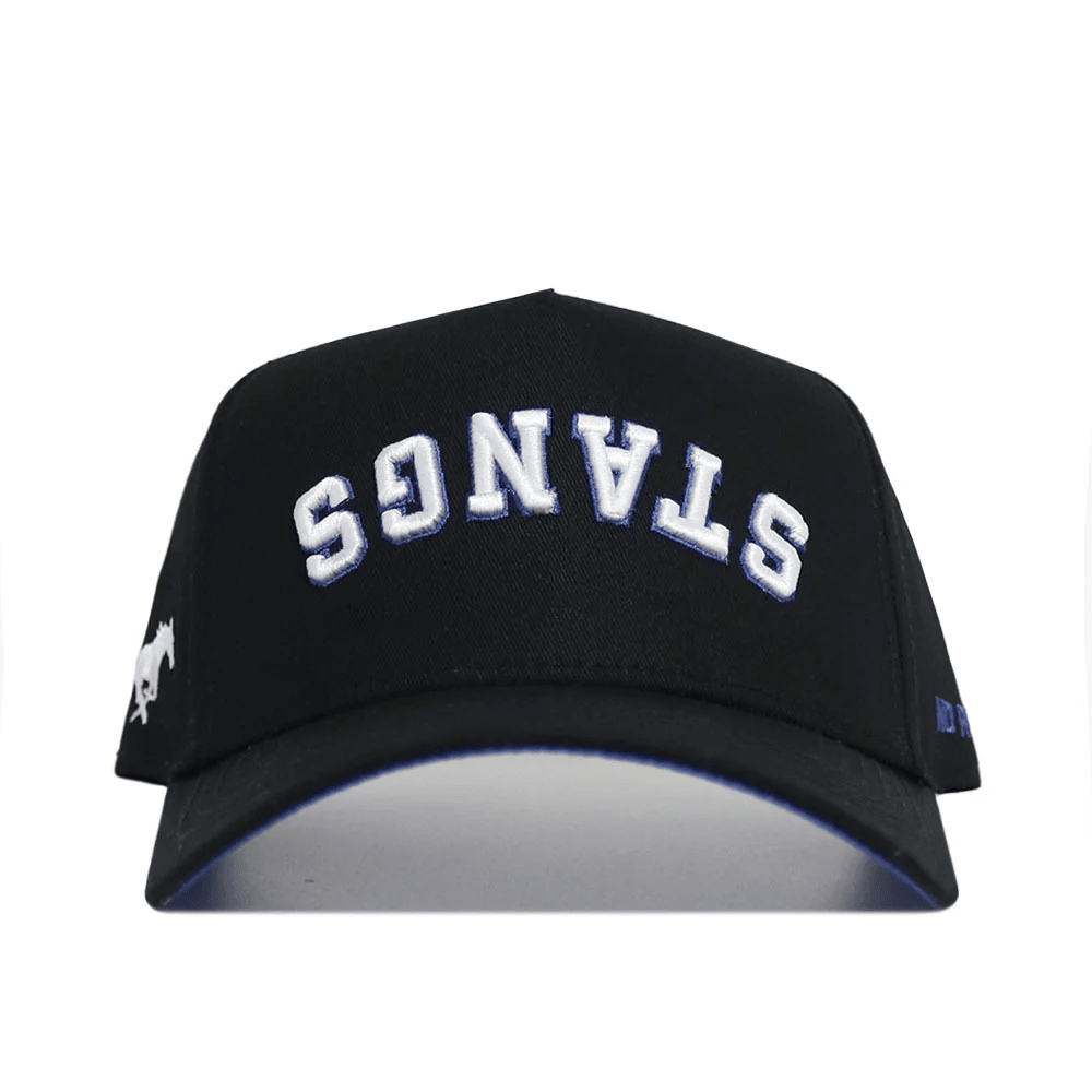 Stangs Upside Down Hat Trend Stangs Reversed Hat Stangs Merch Perfect Father's Day Gifts-1