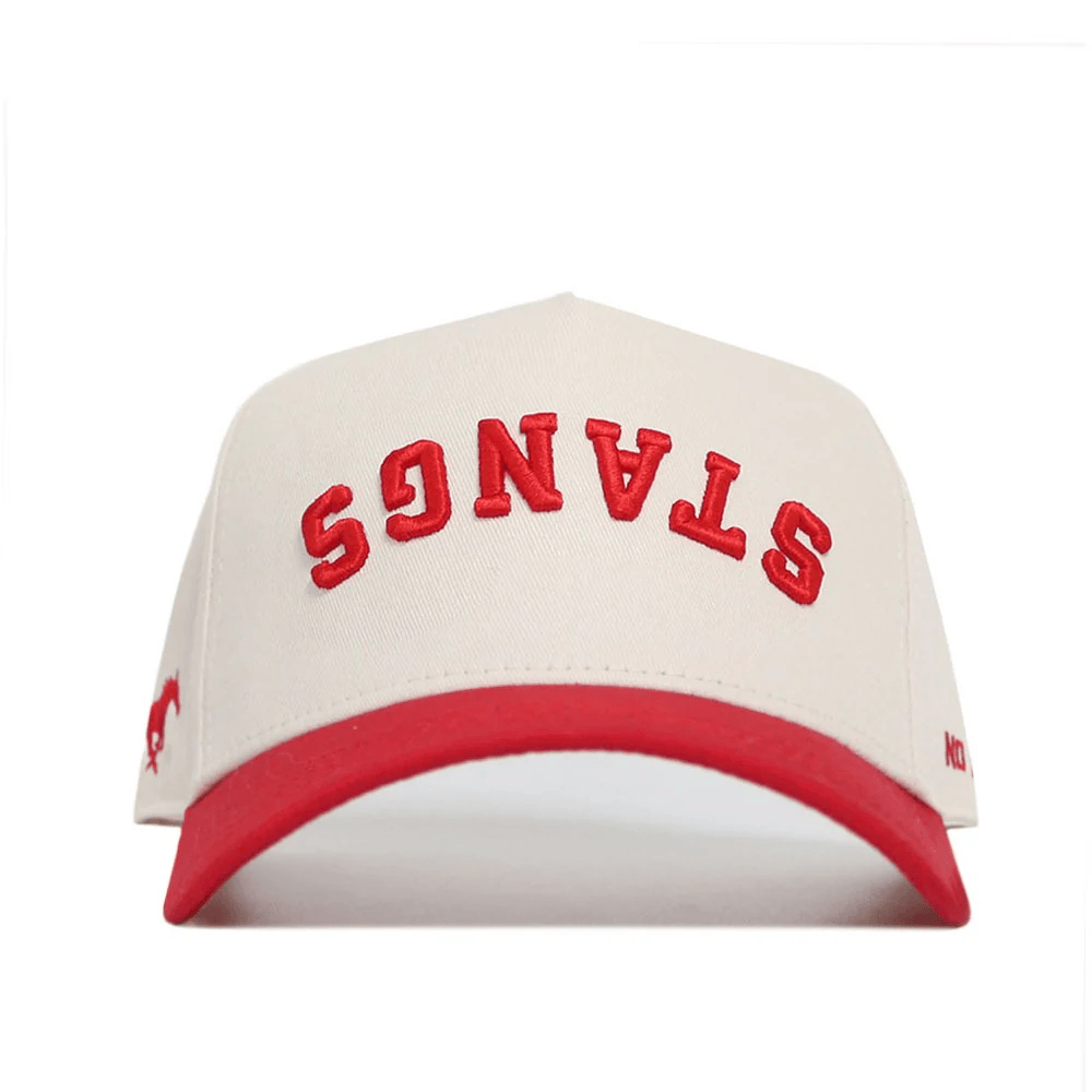 Stangs Upside Down Hat Trend Stangs Reversed Hat Stangs Merch Top 10 Father's Day Gifts-1