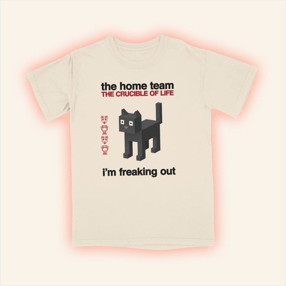The Home Team Merch Block Cat Shirt Birthday Gifts For Best Friends Gifts For Him Christmas Presents-1