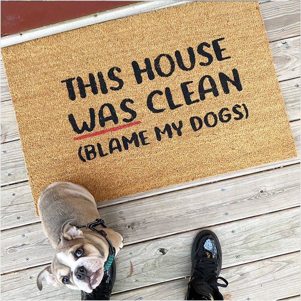 This House Was Clean Blame My Dogs Doormat Funny Welcome Mats Housewarming Gift Ideas-1