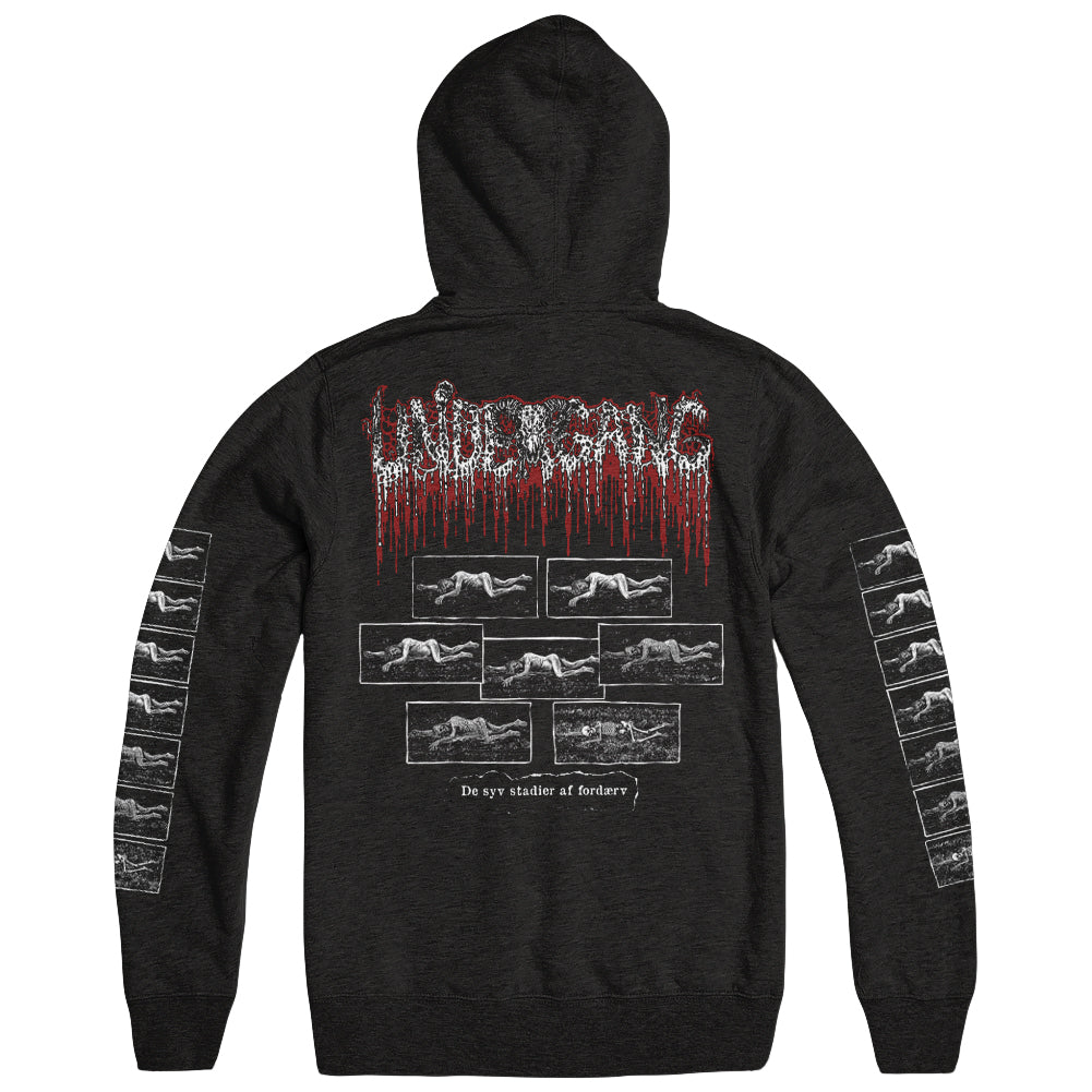 Undergang Merch Stadier Af Fordaerv Hoodie Undergang Hoodie Father'S Day Gifts For Husband-1 Undergang Merch Stadier Af Fordaerv Hoodie Undergang Hoodie Father'S Day Gifts For Husband-1