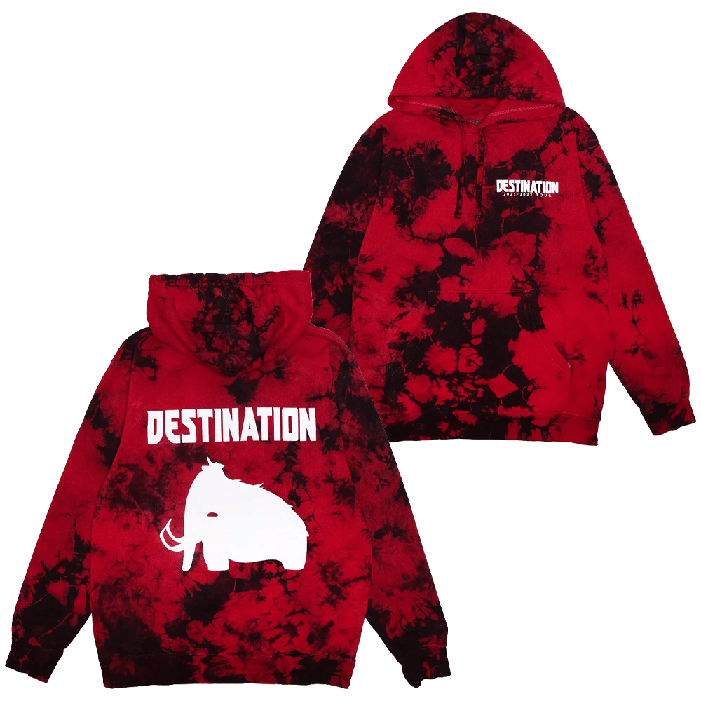 Wooli Merch Wooli Destination Tour Hoodie Stepdad Gifts For Father's Day-1