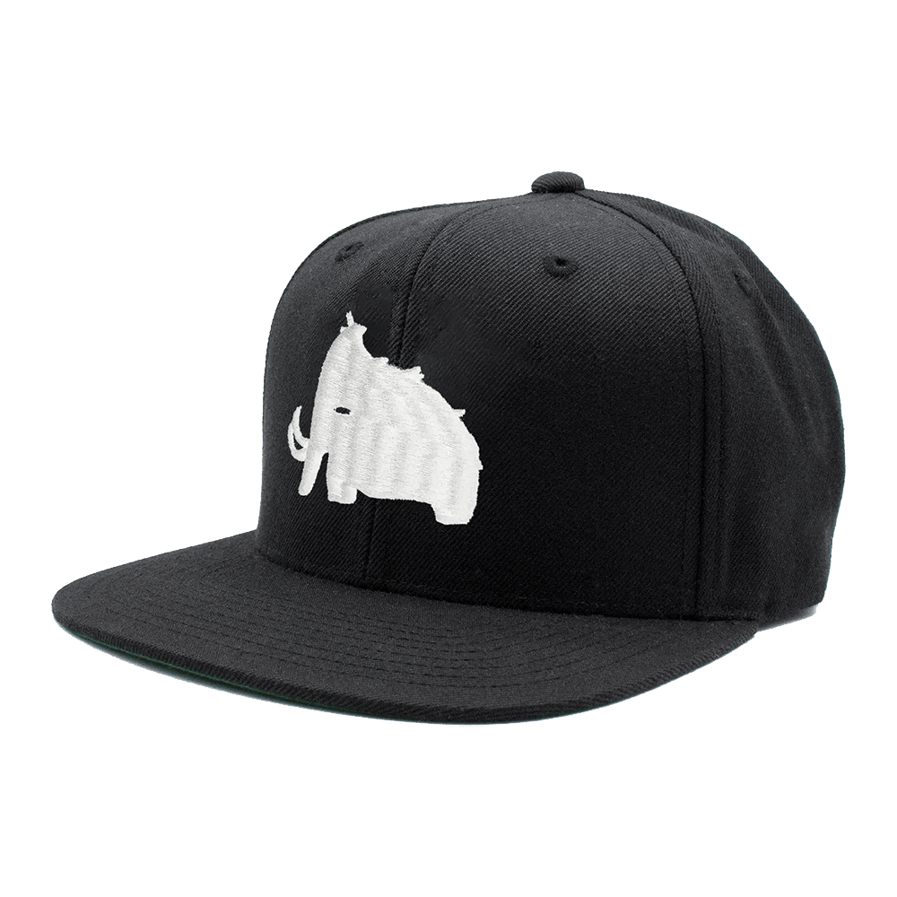 Wooli Merch Wooli Snapback Hat Father's Day Gifts For Husband-1